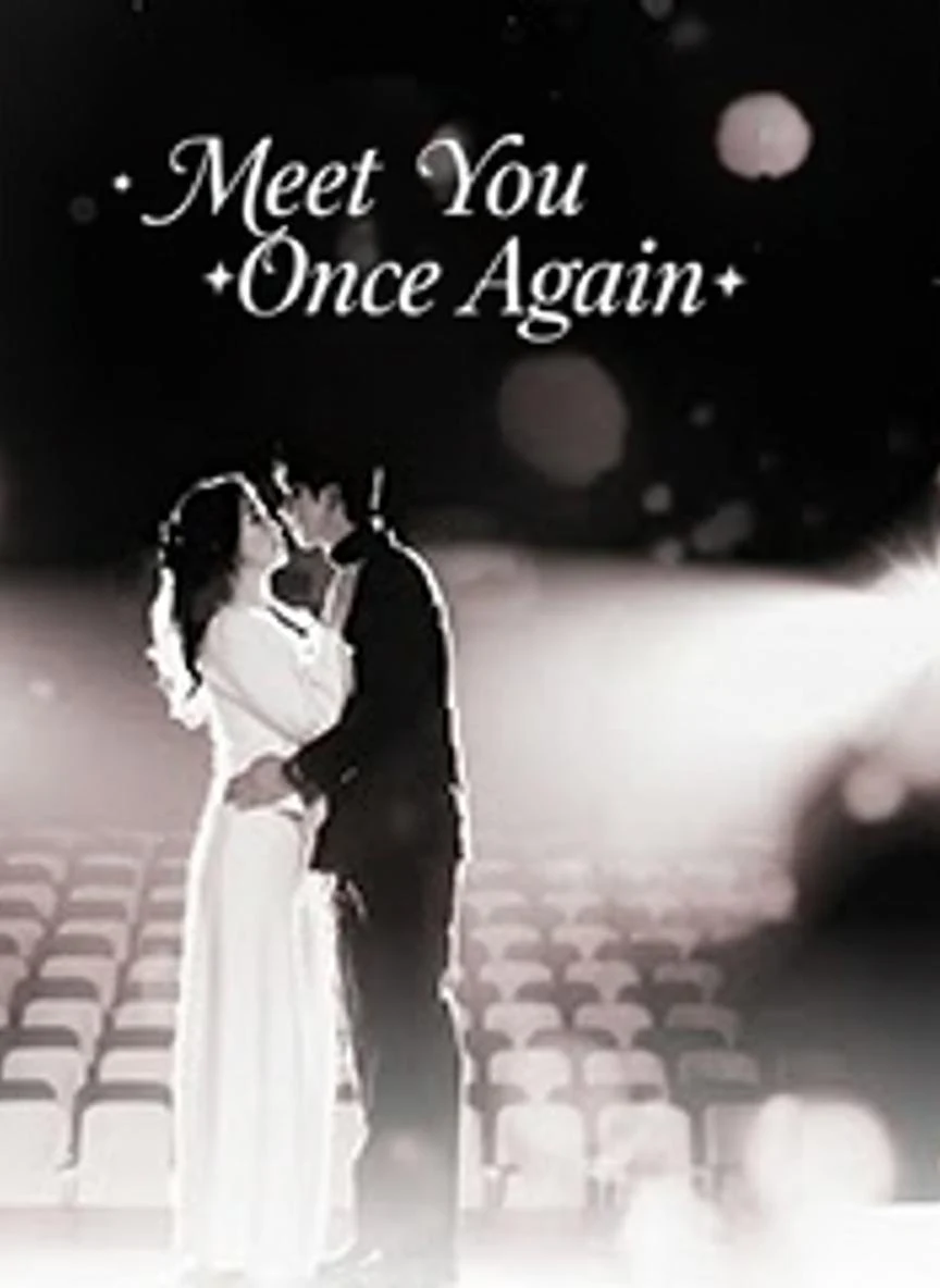 Watch Meet You Once Again All Episodes Free Meet You Once Again (84 Episodes) - Official Drama Poster