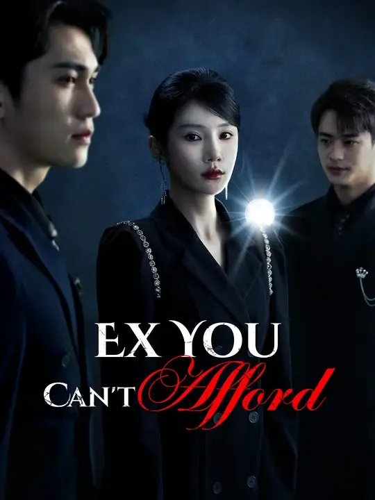 Watch Ex You Can't Afford All Episodes Free Ex You Can't Afford (57 Episodes) - Official Drama Poster