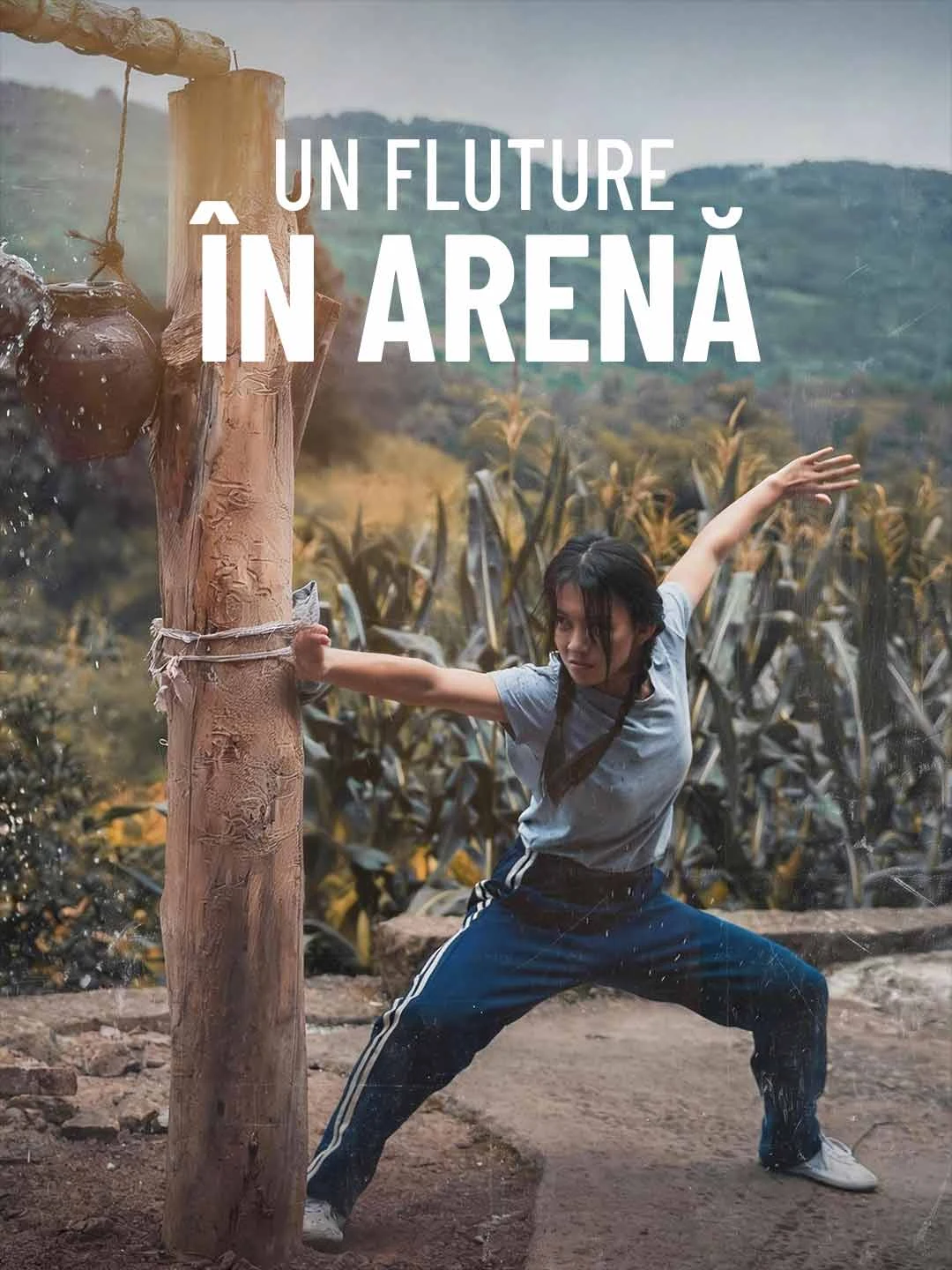 Butterfly in the Arena