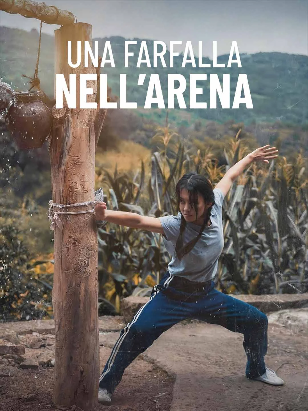 Watch A Butterfly in the Arena All Episodes Free A Butterfly in the Arena (55 Episodes) - Official Drama Poster
