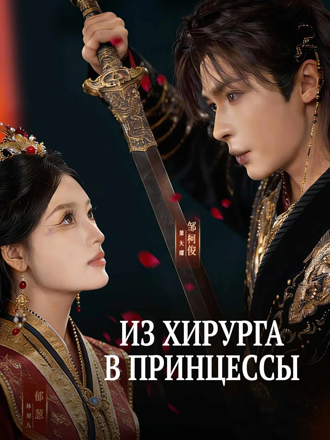 Watch Surgeon to Princess All Episodes Free Surgeon to Princess (73 Episodes) - Official Drama Poster