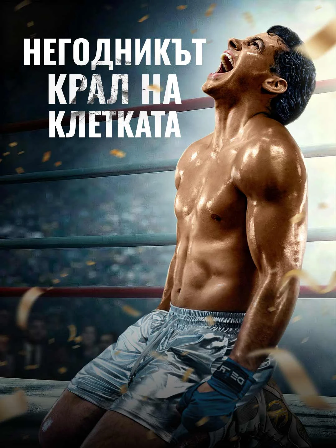 Watch The Rogue King of the Cage All Episodes Free The Rogue King of the Cage (66 Episodes) - Official Drama Poster