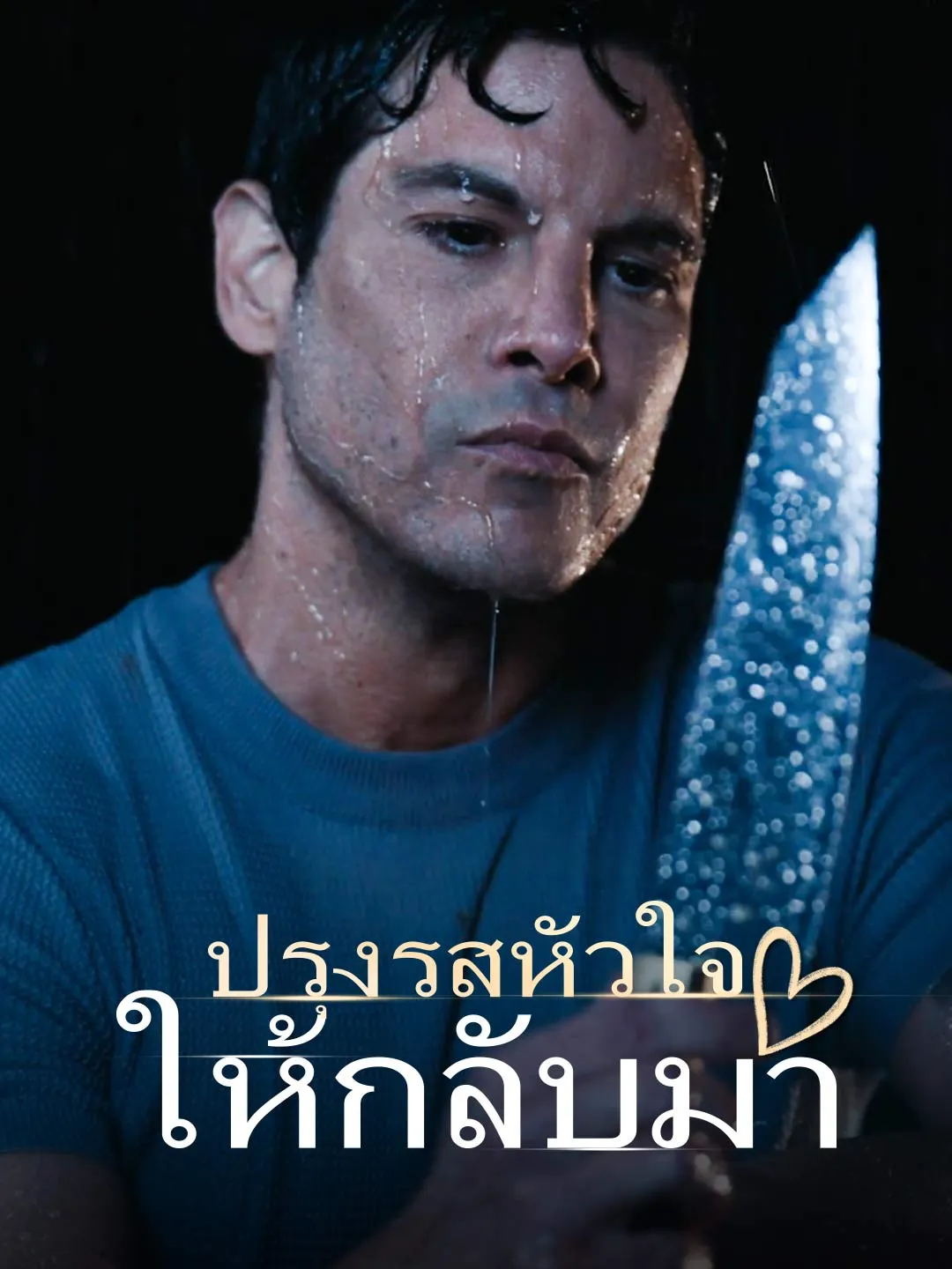 Watch Seasoning the Heart All Episodes Free Seasoning the Heart (87 Episodes) - Official Drama Poster