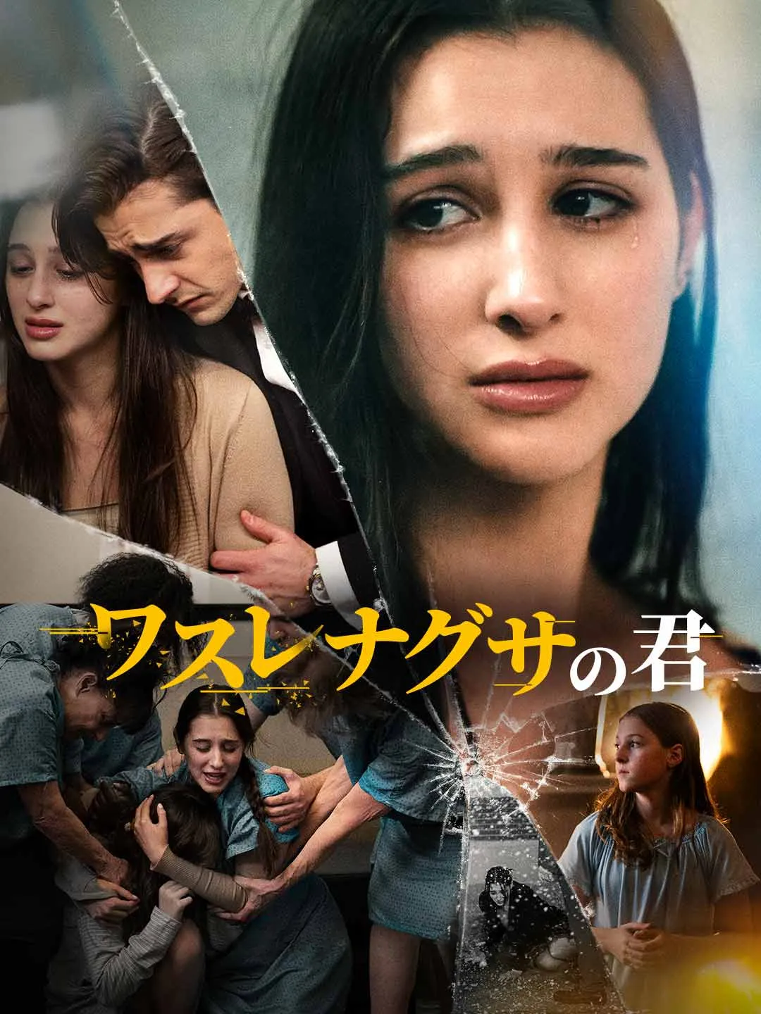 Watch My Forget-me-not All Episodes Free My Forget-me-not (61 Episodes) - Official Drama Poster