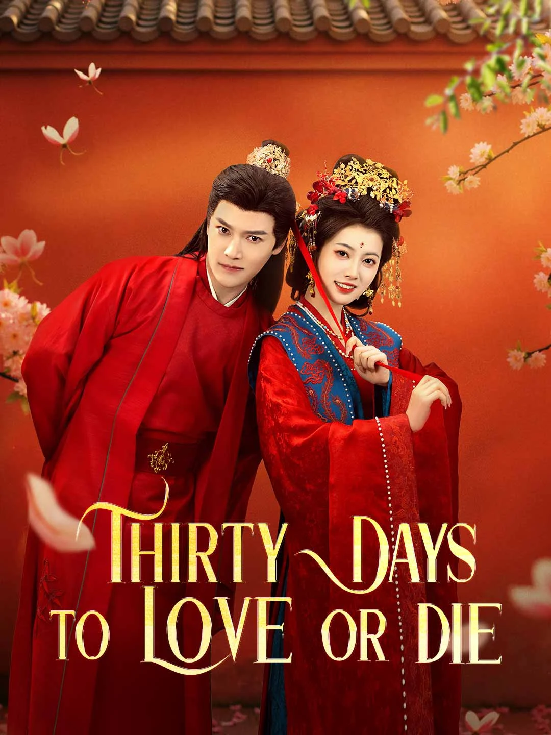 Watch Thirty Days to Love or Die All Episodes Free Thirty Days to Love or Die (66 Episodes) - Official Drama Poster
