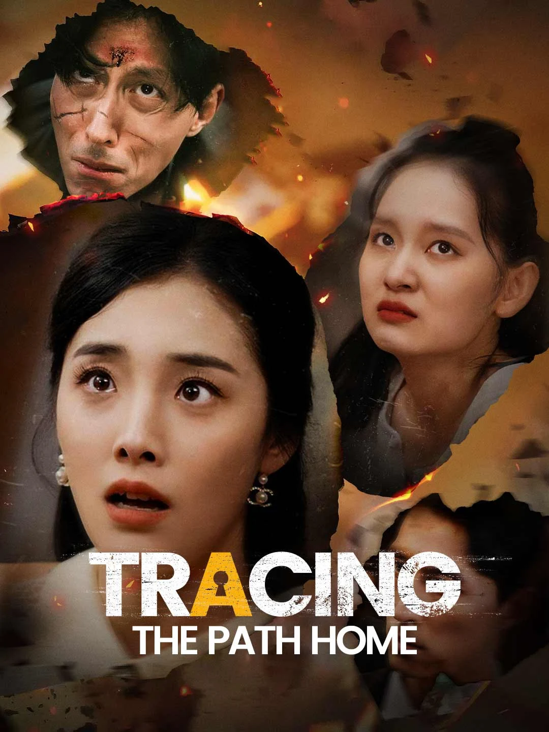 Watch Tracing the Path Home Online Free Tracing the Path Home - Watch Free on ShortDramaTV