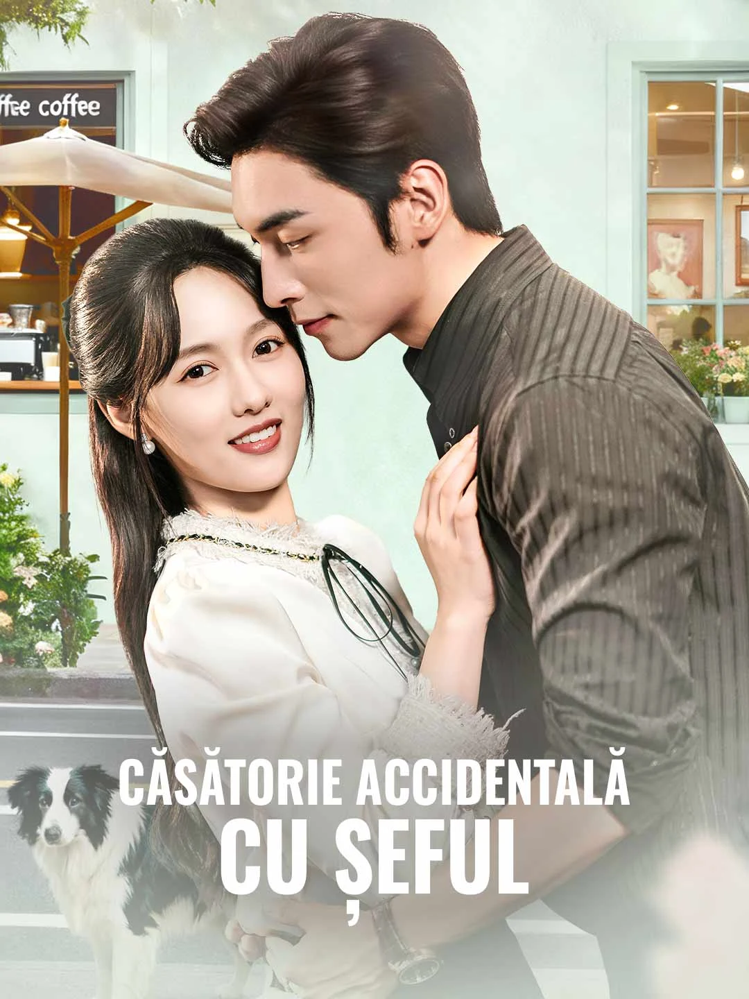 Watch Accidental Marriage with My Boss All Episodes Free Accidental Marriage with My Boss (53 Episodes) - Official Drama Poster