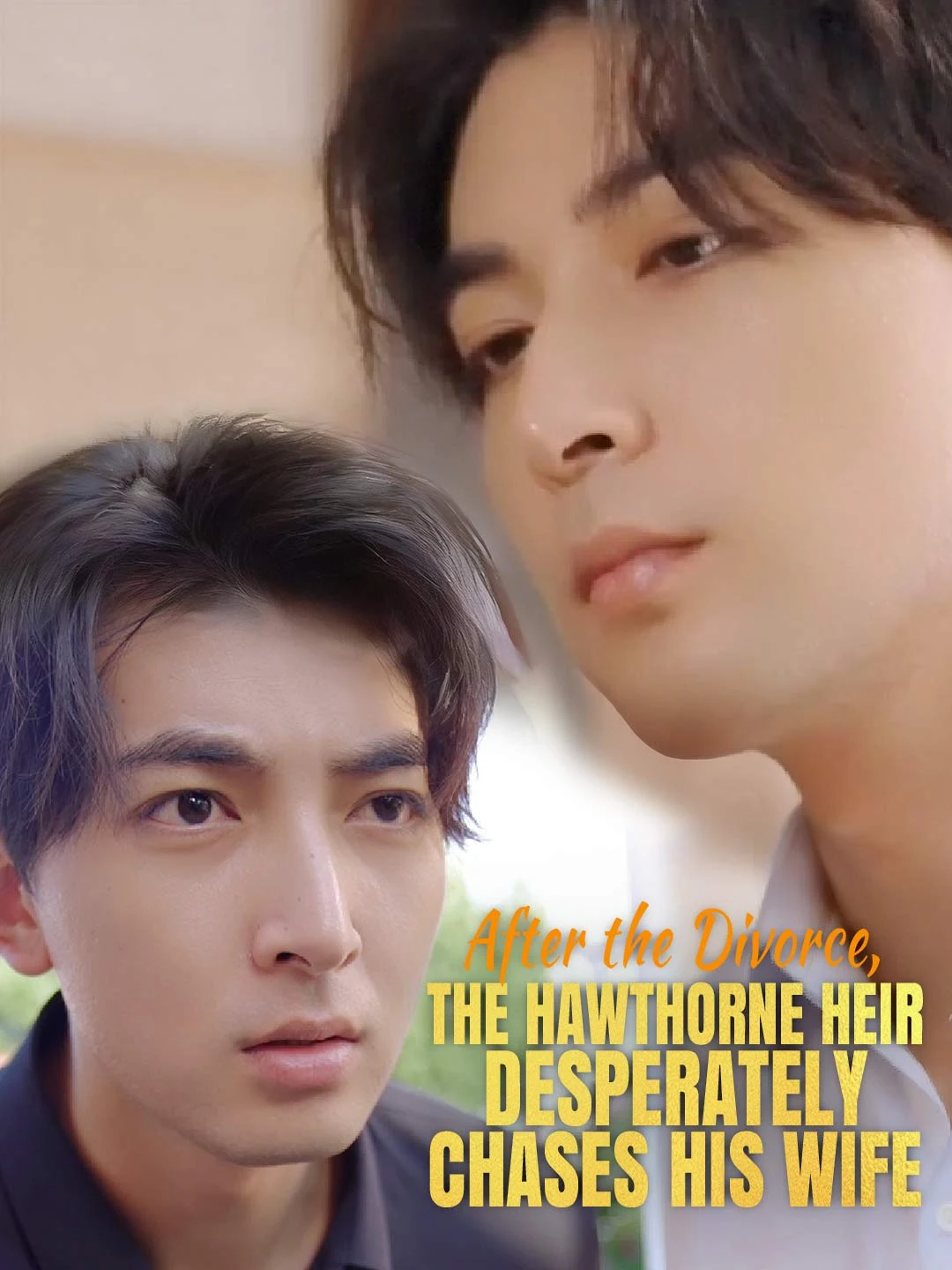 Watch After the Divorce, the Hawthorne Heir Desperately Chases His Wife All Episodes Free After the Divorce, the Hawthorne Heir Desperately Chases His Wife (80 Episodes) - Official Drama Poster