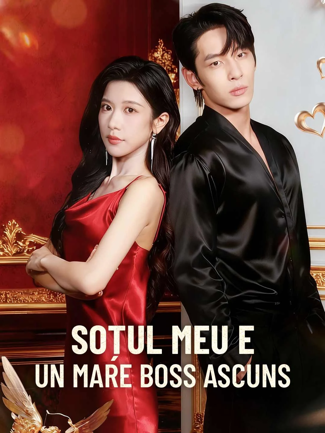 My Husband is a Hidden Tycoon