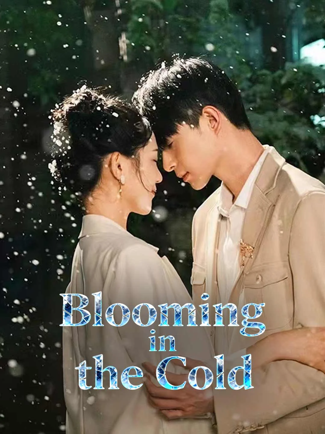 Watch Blooming in the Cold All Episodes Free Blooming in the Cold (87 Episodes) - Official Drama Poster