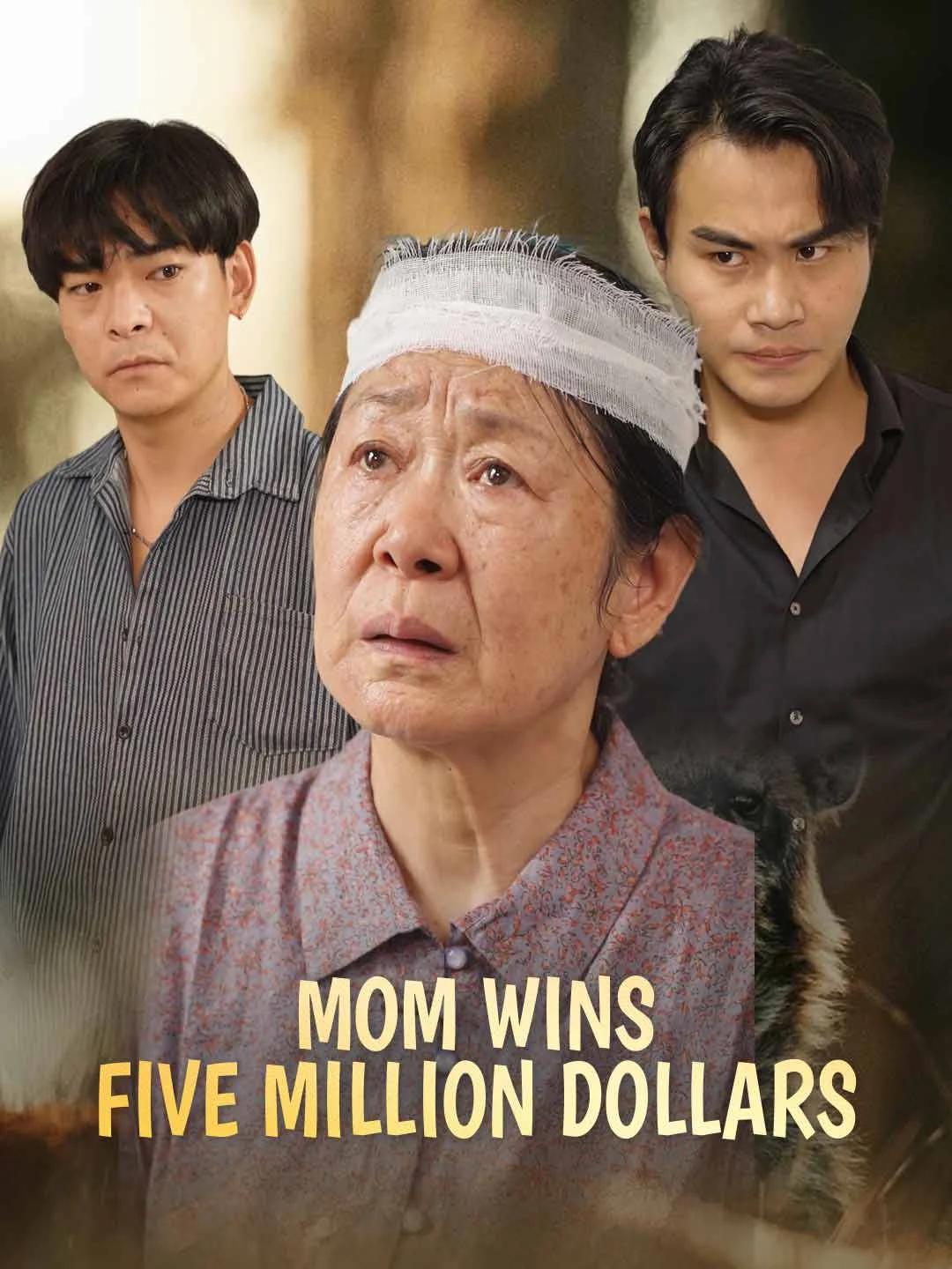 Watch Mom Wins Five Million Dollars All Episodes Free Mom Wins Five Million Dollars (35 Episodes) - Official Drama Poster