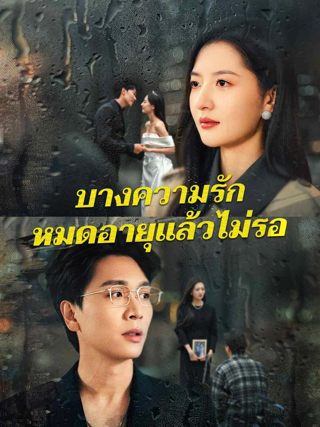 Watch Expired Love Won't Wait All Episodes Free Expired Love Won't Wait (50 Episodes) - Official Drama Poster