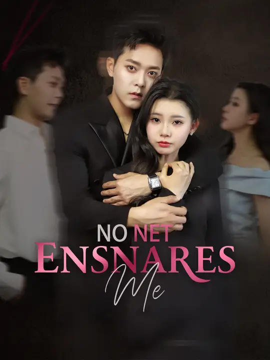 Watch No Net Ensnares Me All Episodes Free No Net Ensnares Me (51 Episodes) - Official Drama Poster