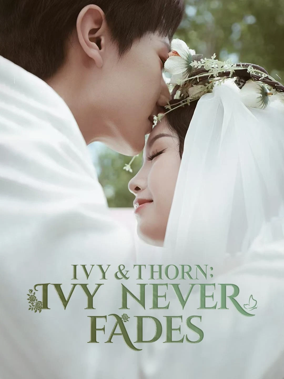 Watch Ivy & Thorn: Ivy Never Fades All Episodes Free Ivy & Thorn: Ivy Never Fades (30 Episodes) - Official Drama Poster